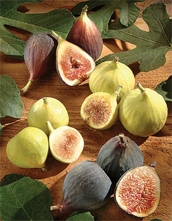 04-Figs-Crop