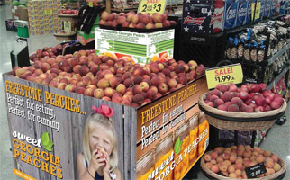 GA-Peach-Bin