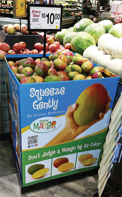 Mango-Bin-In-Store