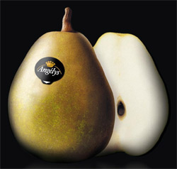 angelys pear