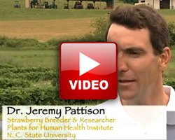 dr jeremy pattison