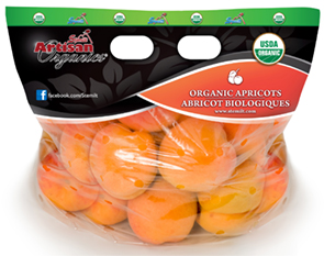 Apricot-Mockup