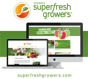 website