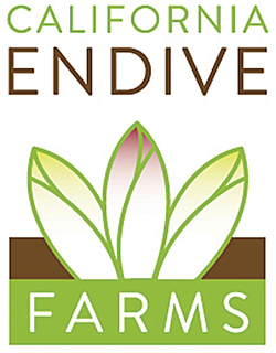 CEF-FINAL-LOGO