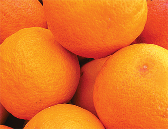 Blood Oranges