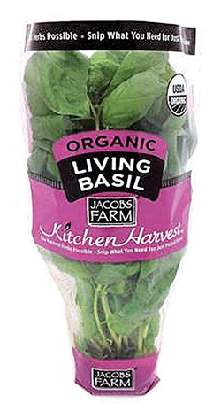 basil