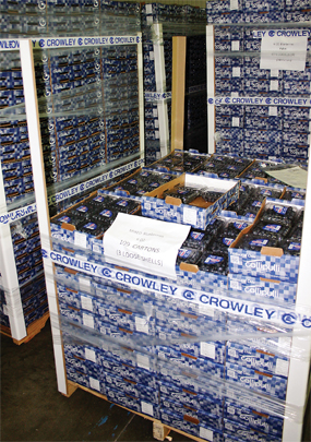 chile blueberries