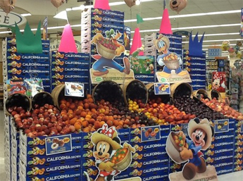 disneydisplay