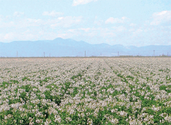 san-luis-valley-opener-shot