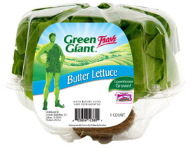 GGF-Living-Lettuce