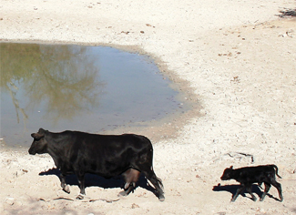 Drought-2