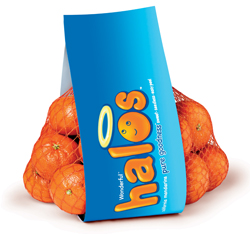 Halos 3lb tagup ip19