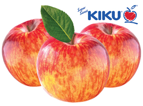 KIKU-single-apples-with-log