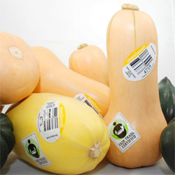natures partner winter squa