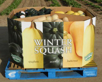 squashbin