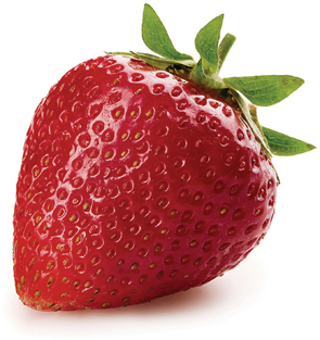 FL-Strawberry-varieties-1
