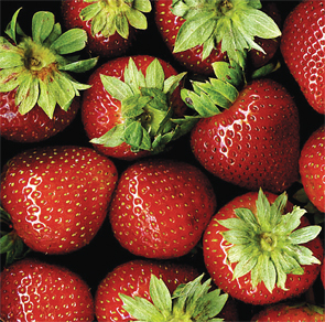 Strawberry-crop-report-2