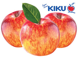 KIKU