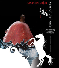 Year-of-the-horse-3