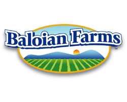 baloian2