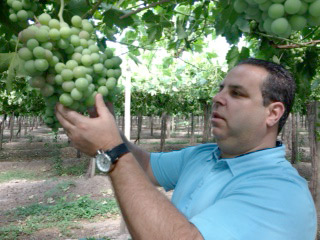 photo-2