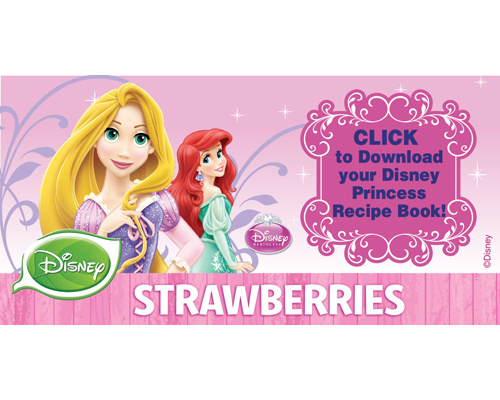 Princess-banner-ad