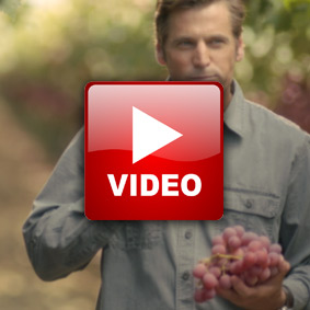 grapevideo image
