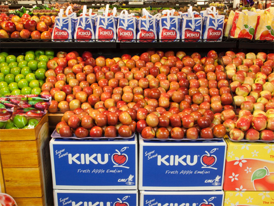 KIKU-Ambrosia-Display