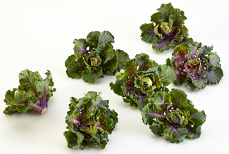Kalettes