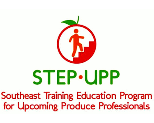 STEPUPP-Logo