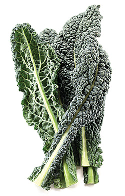 Tuscan-Kale