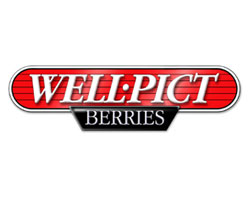 wpic
