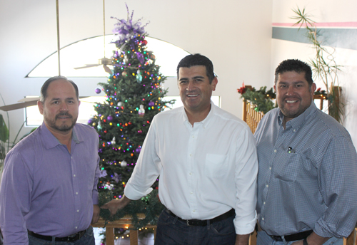 Big-Chuy-tree