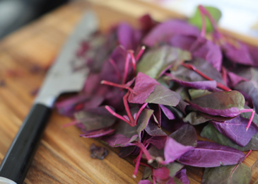 Chopped-Heirloom-Red-Spinach-prep