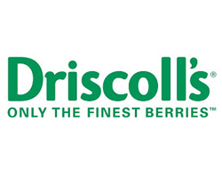 driscol