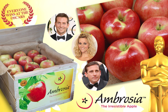Academy-Awards-Giftbasket