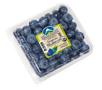 biodynamic-blueberries