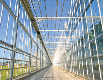 greenhouse