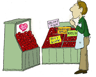 Graphic-Displaying-Best-Choice-At-Retail