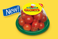 glor