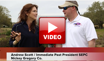 southern video thumb