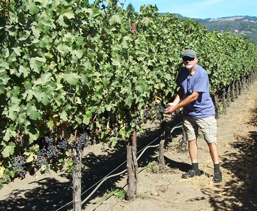 Ron-Pelger-in-California-Grape-Vineyards