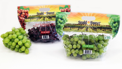 SS-GrapesPouchBag