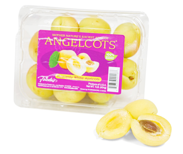 angelcot