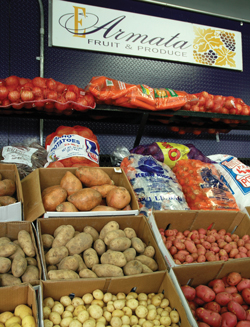 PotatoOnionDisplay 4188a