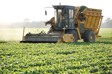 Active-harvesting