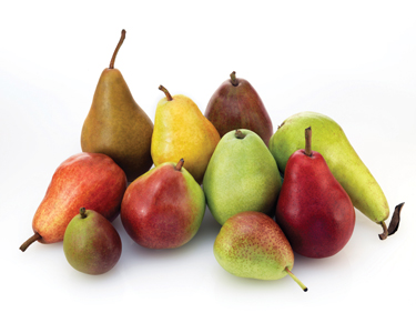 Ten-Varieties-of-USA-Pears