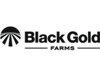 blackgold