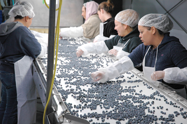 blueOpenerShot