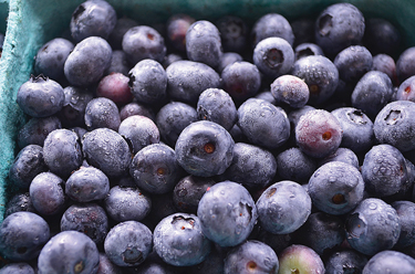 blueberries-7